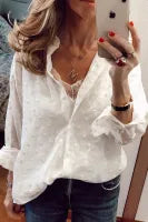 White Turn-down Neck Swiss Dot Texture Sheer Shirt